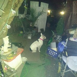 Meet your Posher, Lori